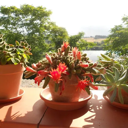 A Casa Di Pici 포르토 포텐자 피세나